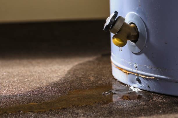 Best Ceiling water damage repair  in Pulaski, TN