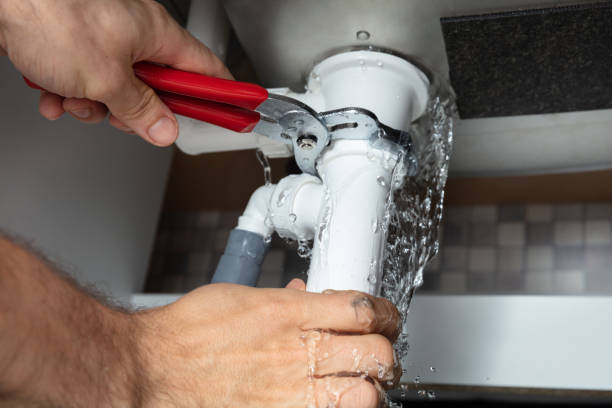 Best Professional water damage repair  in Pulaski, TN