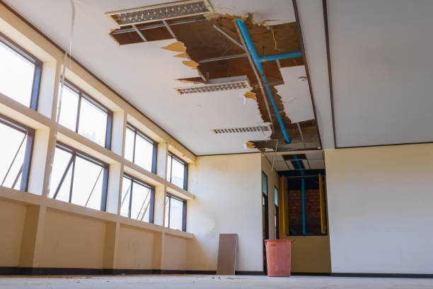 Best Local water damage restoration  in Pulaski, TN