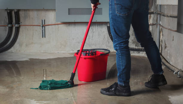 Best Water damage restoration near me  in Pulaski, TN