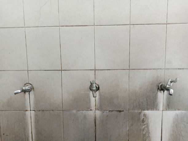 Best Fire Damage Restoration  in Pulaski, TN