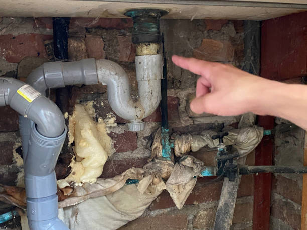 Best Local water damage restoration  in Pulaski, TN