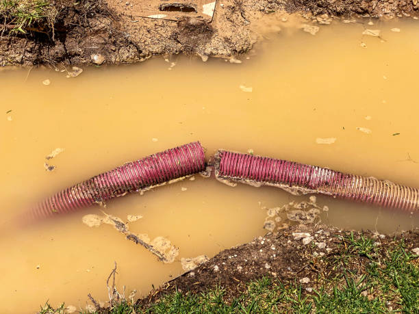 Best Water damage restoration cost  in Pulaski, TN